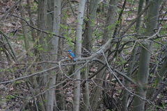 Killikus&reg; Fotographie